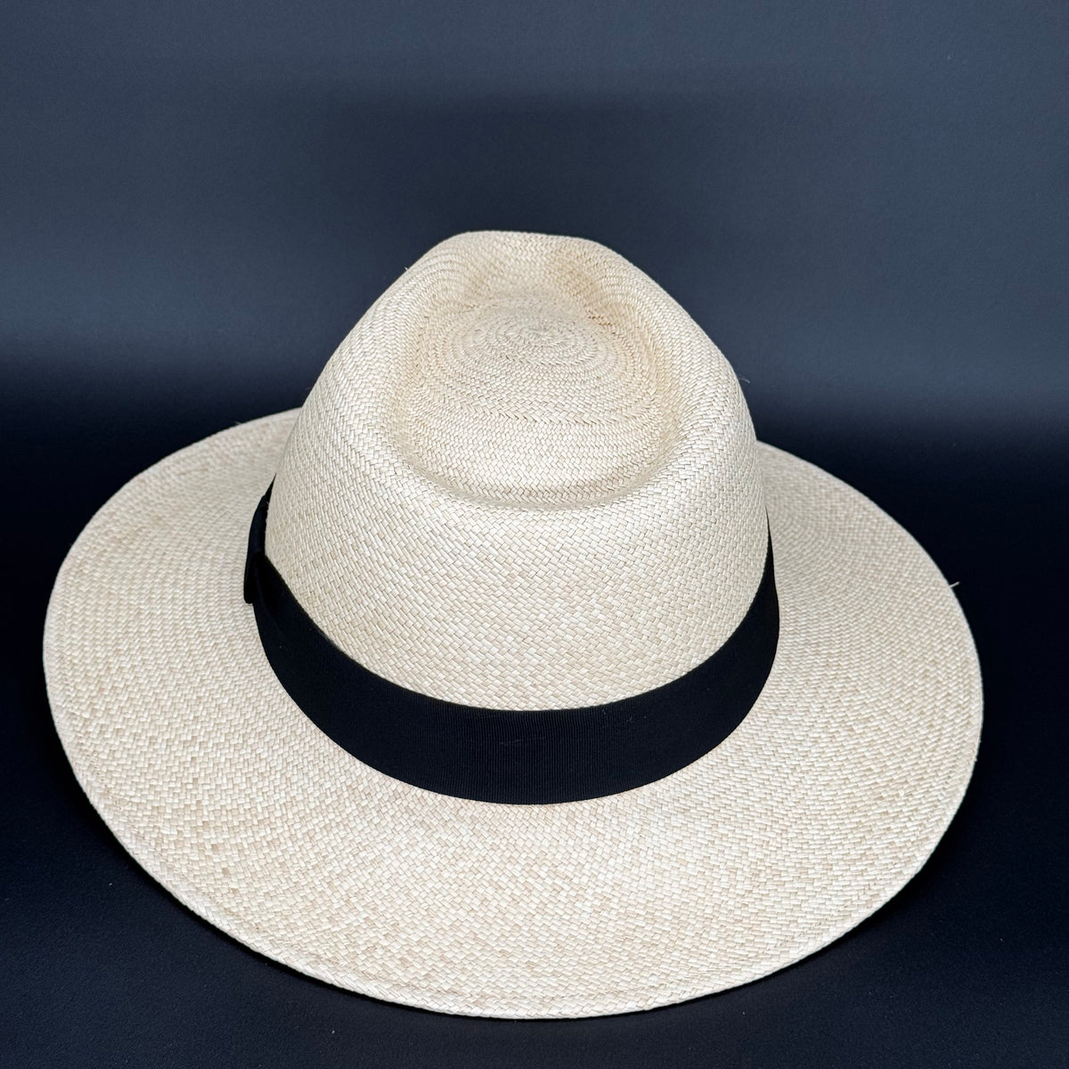 Paso Fino